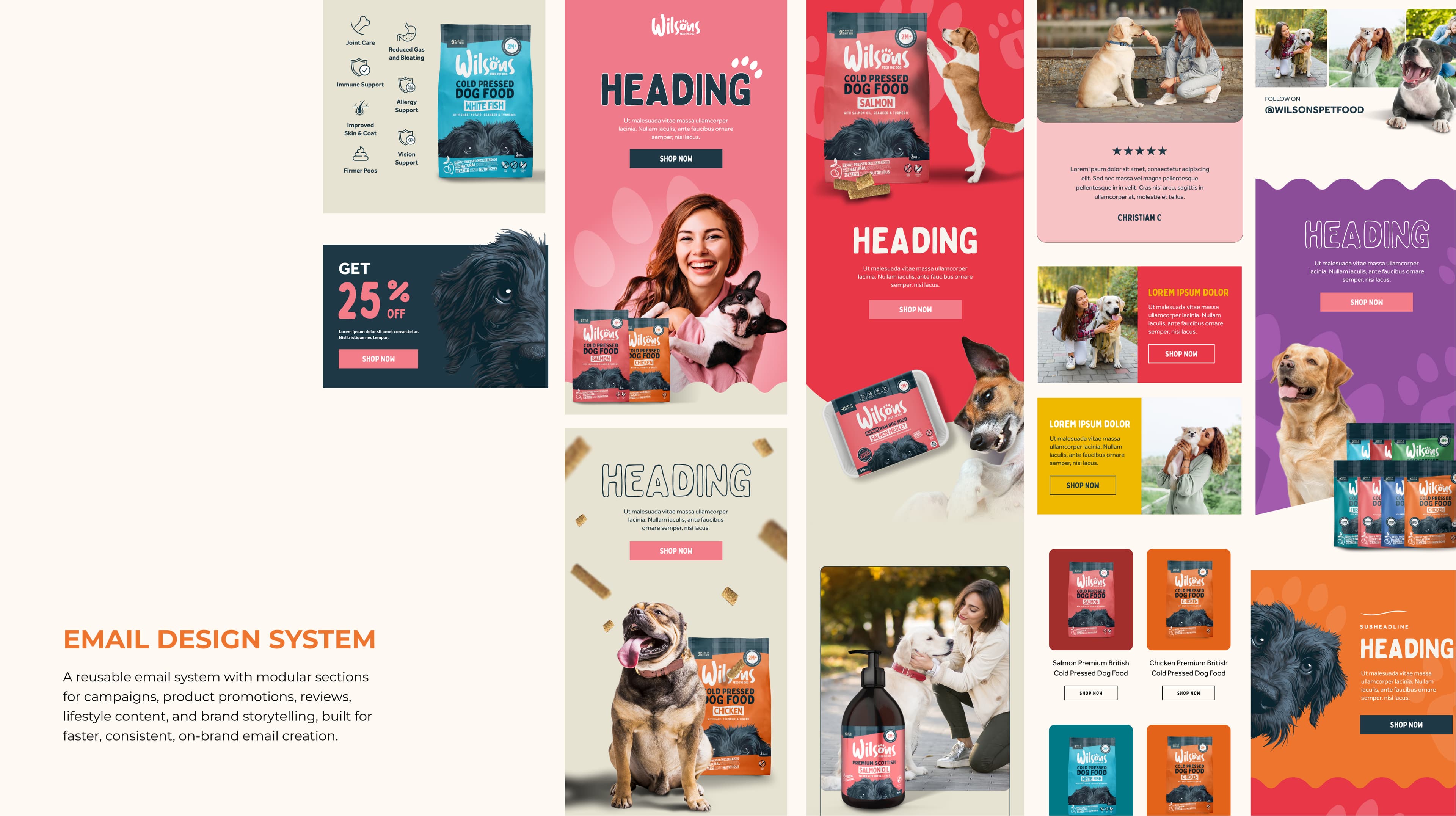 Email Design Showcase 2