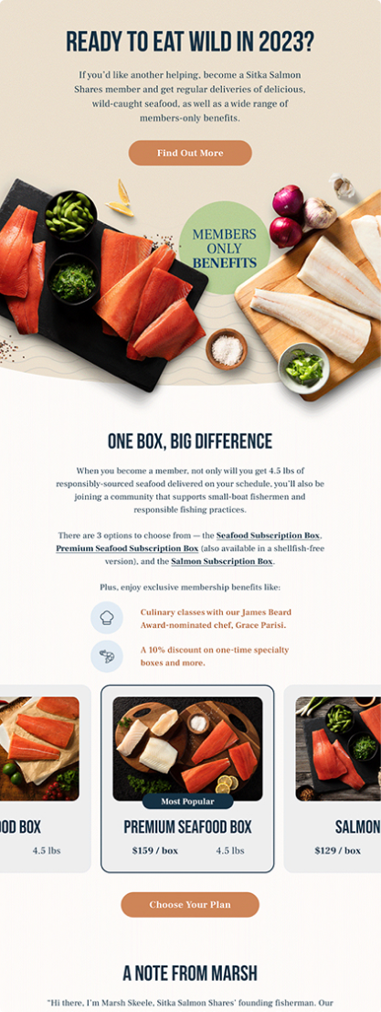 Email Design Portfolio work1.png