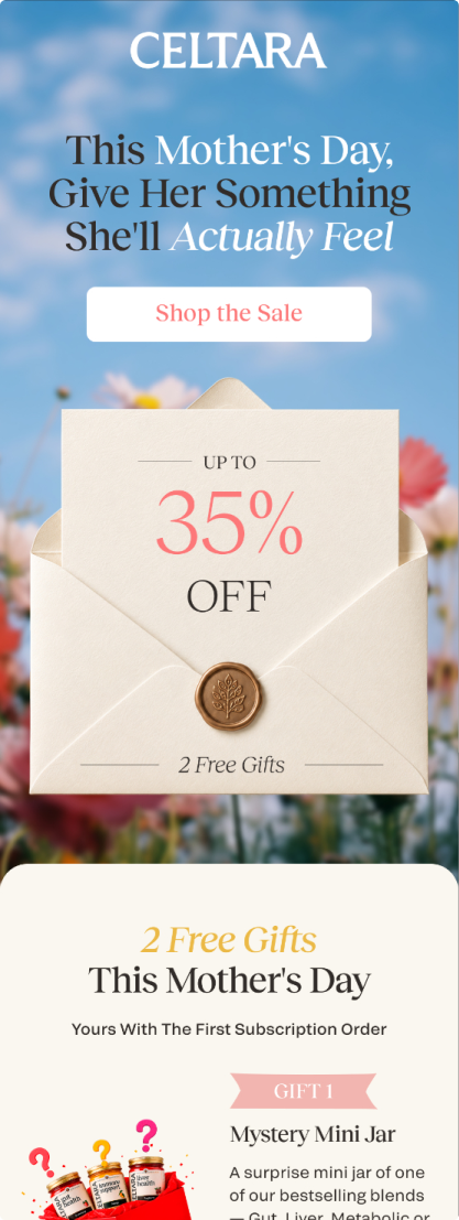 Email Design Portfolio work3.png