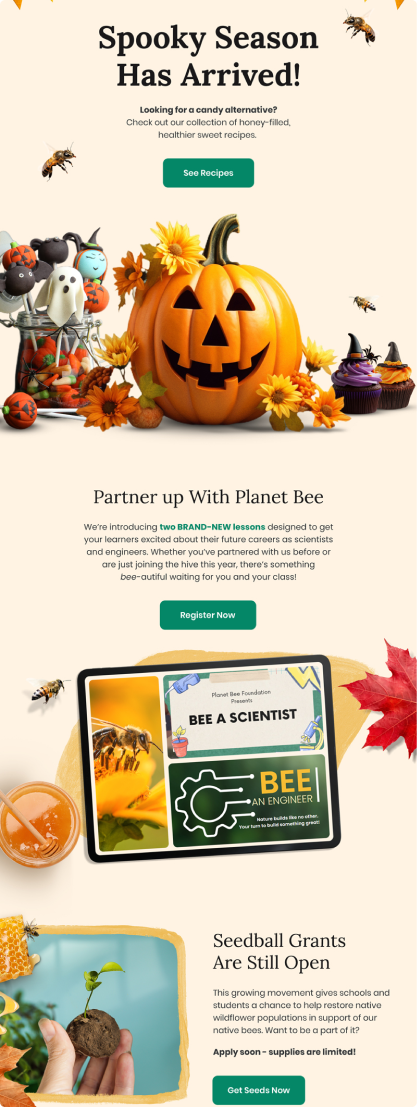 Email Design Portfolio work6.png